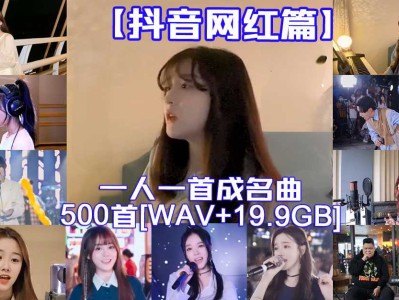 【抖音网红篇】一人一首网红成名曲整合500首无损歌曲每一首都曾是热搜榜神曲[WAV+19.9GB]