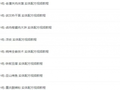 《龙隐小吃街小吃教程大全》[视频教学美食做法][56.8GB][价值上千]