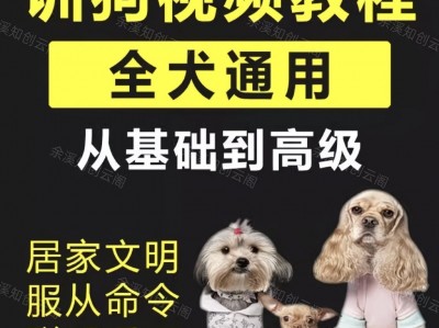 我养了5年狗，花了8000块专门学训狗，还不如这套视频教程管用（全犬通用）